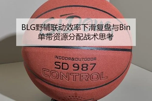 ye-fu-lian-dong-xiao-lv-xia-hua-fu-pan-yu-dan-dai-zi-yuan-fen-pei-zhan-shu-si-kao-2-445.jpg